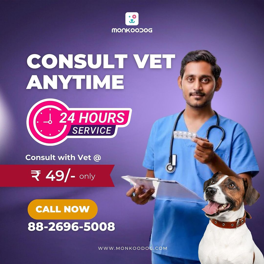 Unleashing the Purrfect Match: Your Guide to Finding the Ideal Dog Veterinarian