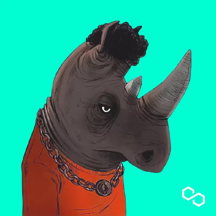 Hero Rhinos