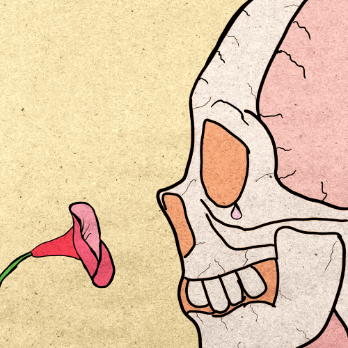 Kirk x SKULLANA FEST 2022