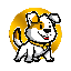 Doge Gold Floki