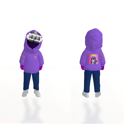 PALADIN PUNKS VISION