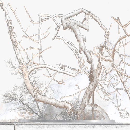 earthsample editions