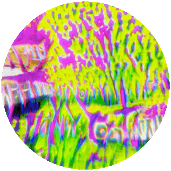 Metaversalist Badge 004: DeepBrainDiveDrops