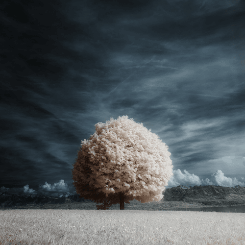 Unidentified contract - yo2CSQw9eT