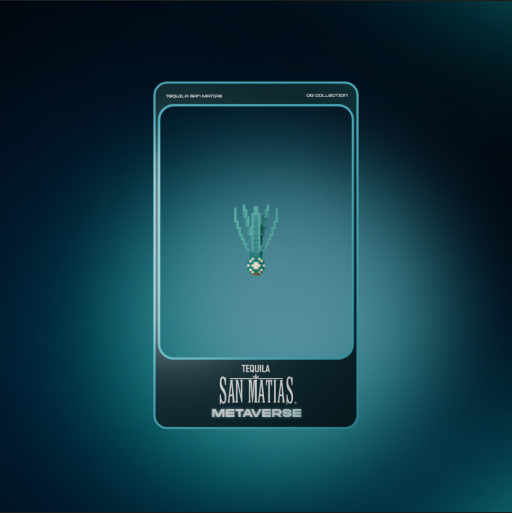 Casa San Matias Metaverse