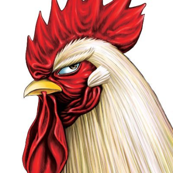 Rooster Fighter