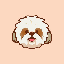 Shih Tzu Inu
