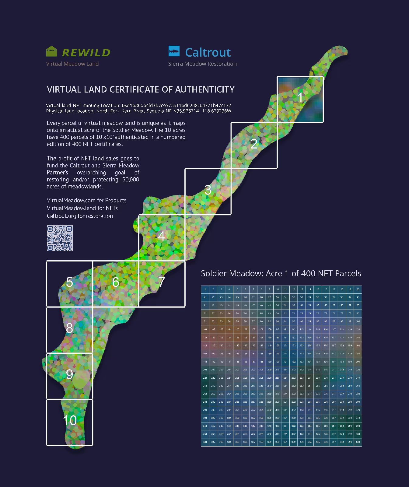 Soldier Virtual Meadow
