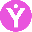 yOUcash