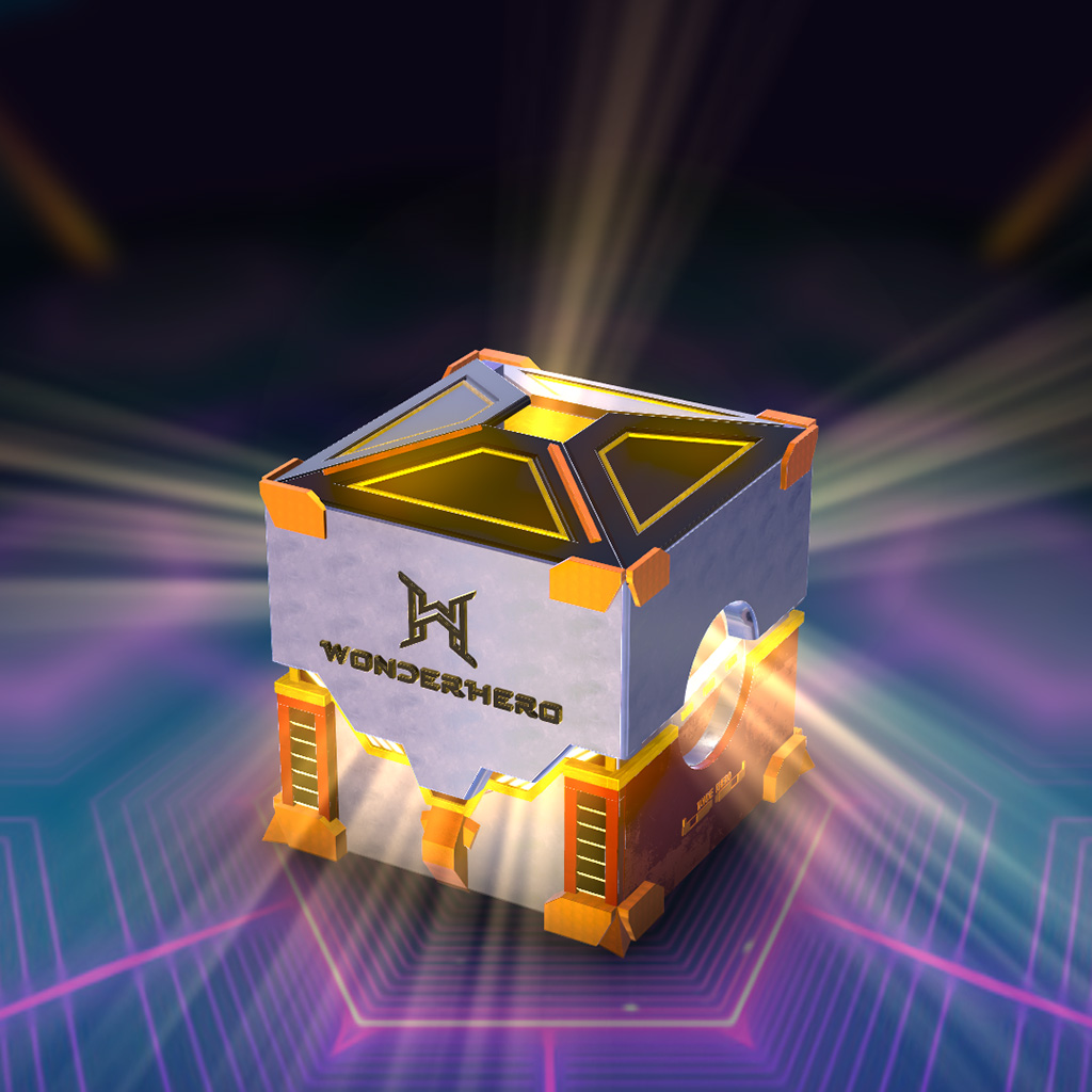 WonderHero Mystery Box