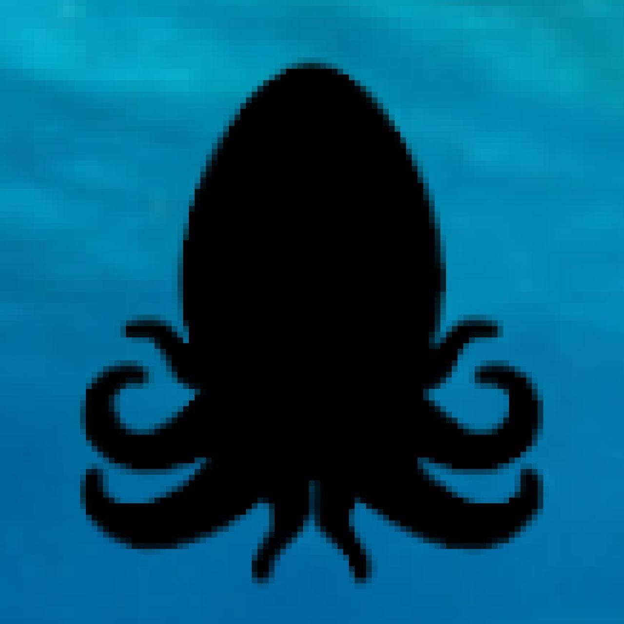 SudoSquid