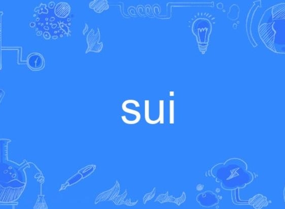 Suiパブリックチェーンの「基本原理」を理解するにはどうすればよいでしょうか?