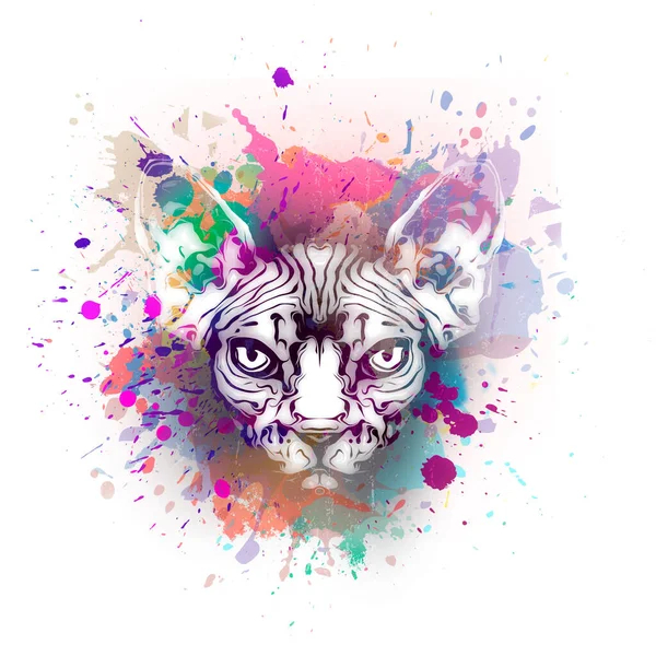 Cat colorful illustration