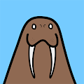 Cute Walrus Club