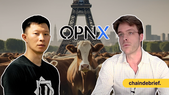 揭秘OPNX交易所：是骗局还是良机？