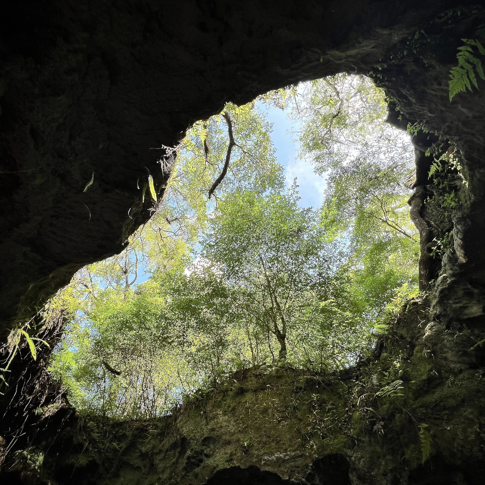 Unidentified contract - A0OhpXR8jJ