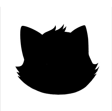 Lovely Raccoons Genesis