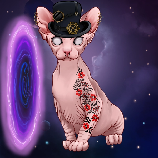 Bald, Bold and Okay Cats