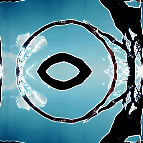 Portals to the Musings of a Living Coconut