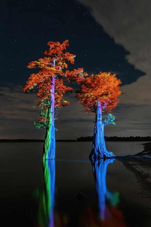 Justin Wood Limited Editions