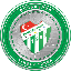 Bursaspor Fan Token