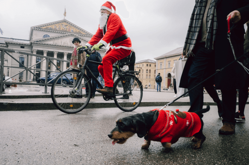 Daniel Tschitsch Open