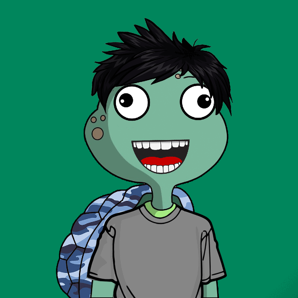 Non Fungible Turtles