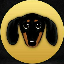 Dachshund