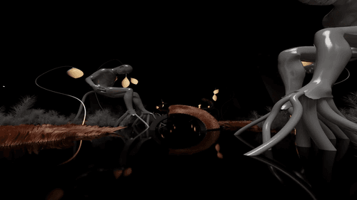 El Cocuyo de la Noche ∞