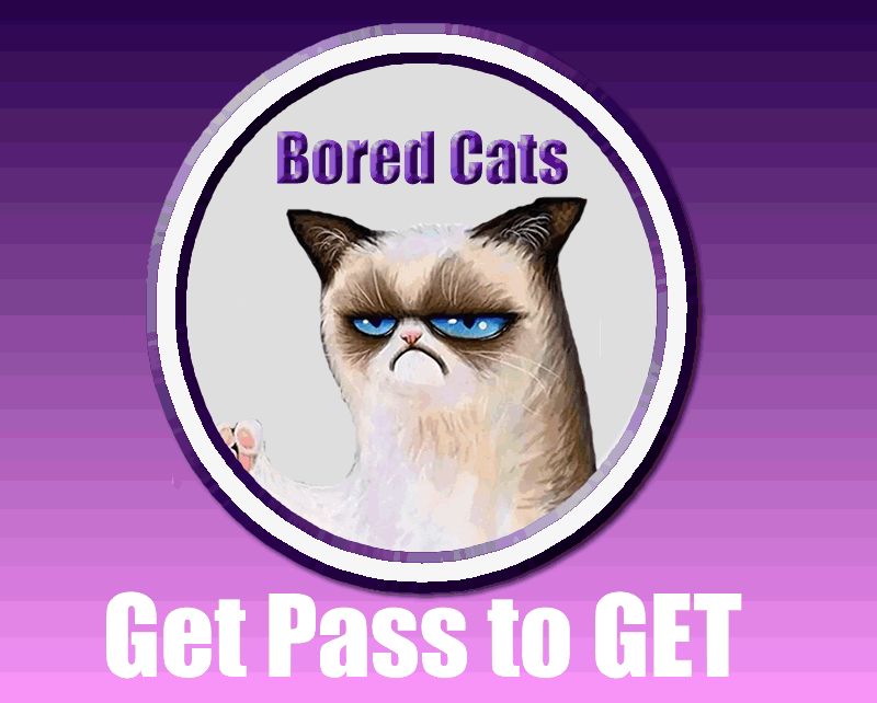 Bored Cats Universe Collection
