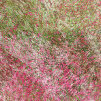 Scents of Spring by Florian Zumbrunn