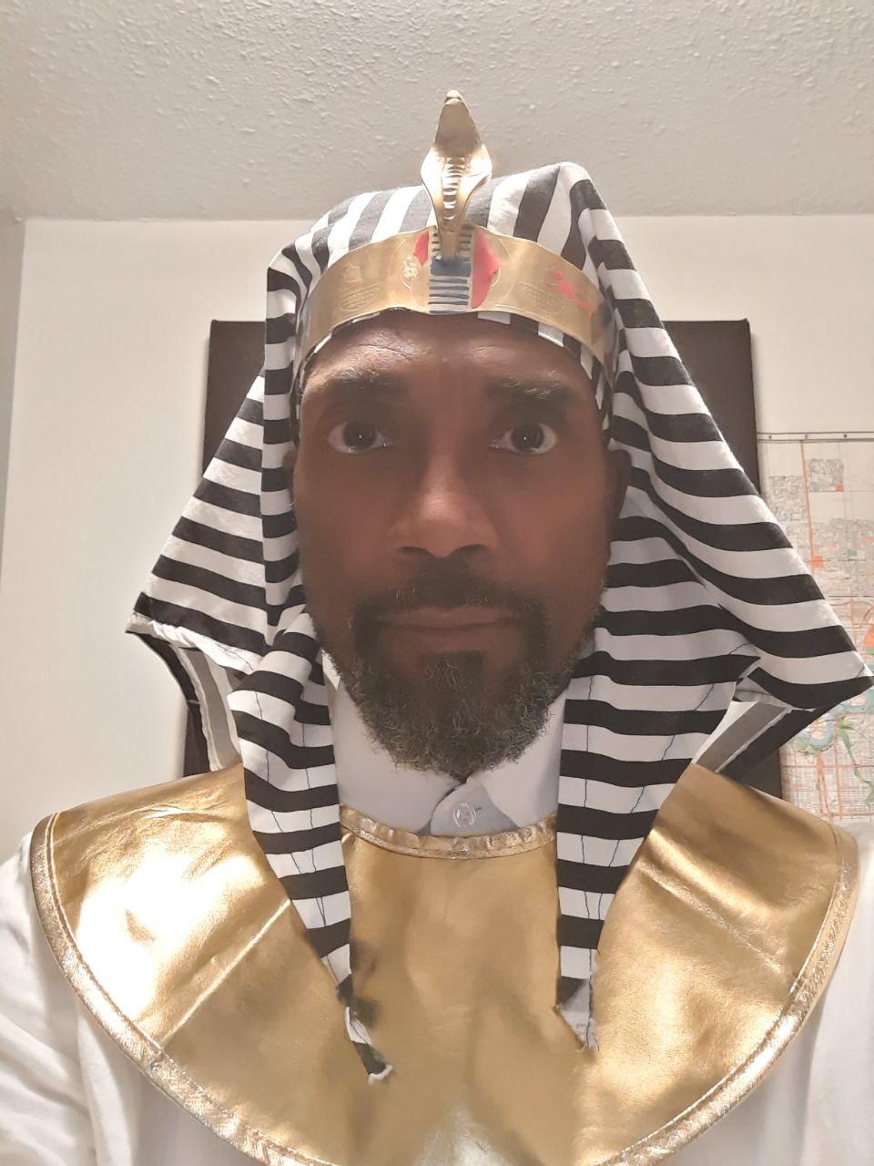 Plenipotentiary of Earth Token