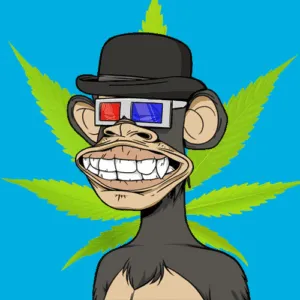 Herbivorous Ape Yacht Club