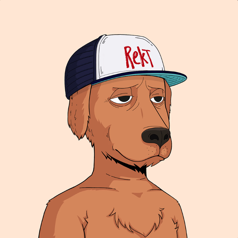 RektDogs