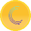 Loop X Network