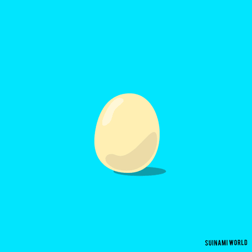 SUINAMI WORLD