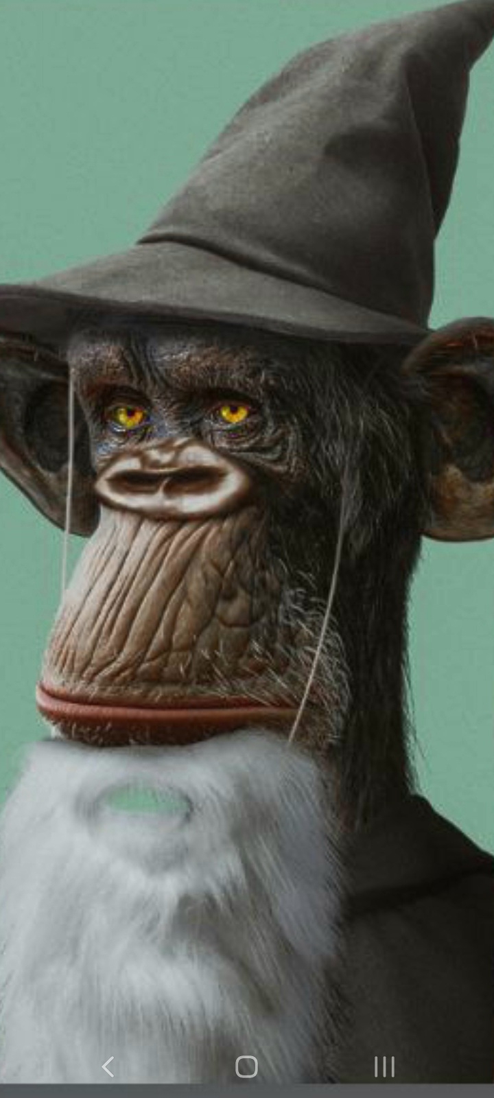 Crocs monkey with beautiful eyes