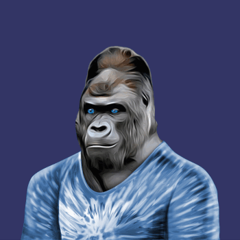 Exclusive Gorilla