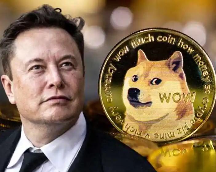 «Трагедия» Маска! Сообщается: соглашение действует ещё восемь месяцев, но DOGE «больше не существует».