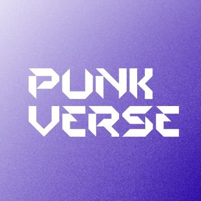 Đằng sau PunkVerse: Tín hiệu vốn của làn sóng tài sản hóa trải nghiệm toàn cầu Đằng sau PunkVerse: Tín hiệu vốn của làn sóng tài sản hóa trải nghiệm toàn cầu