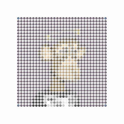 Check Ape Yacht Club