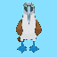 BOOBY