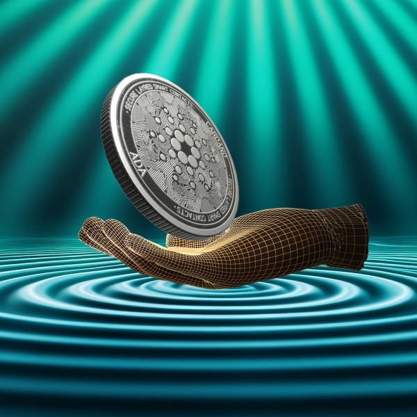 TGE にとってタイミングはどの程度重要ですか?