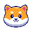 The Moon Shiba