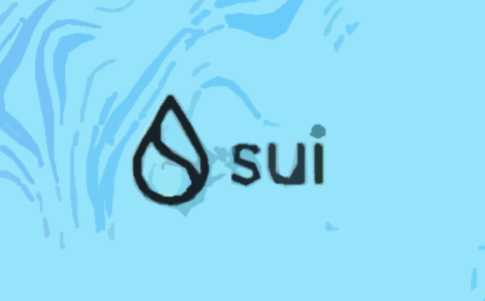 Supporting Decentralization and the Sui Community