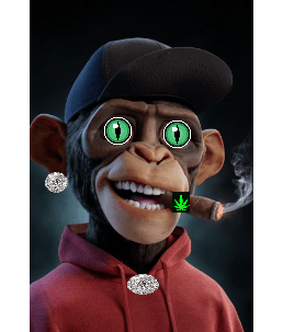 cryptoorangutanpunks