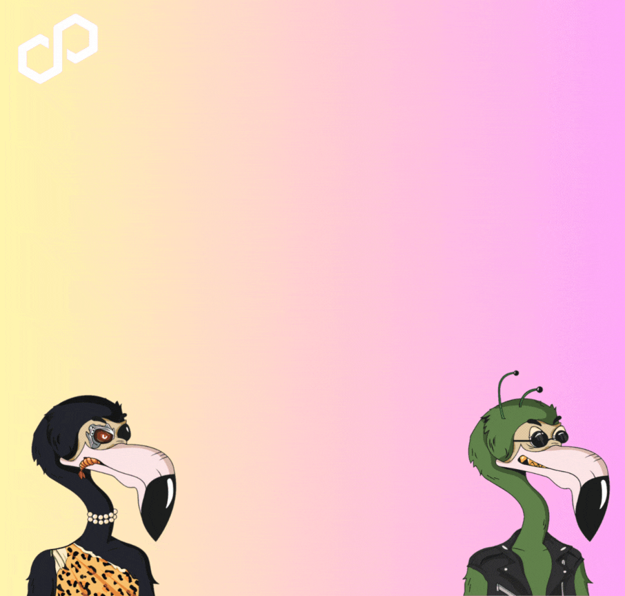 Polygon Flamıngo Club