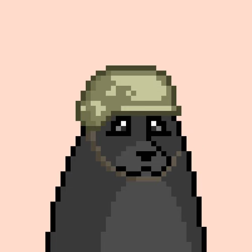 Pixel Seals