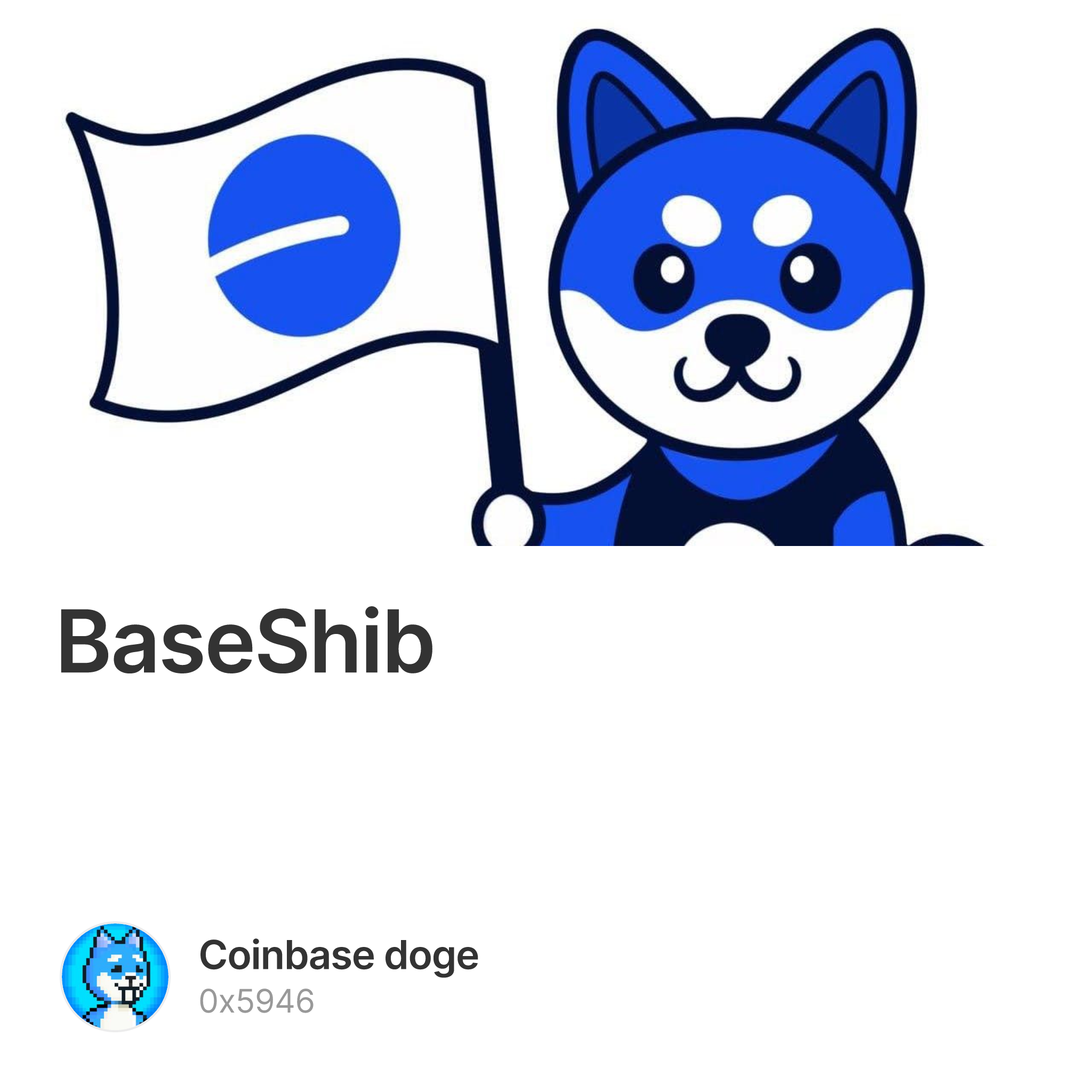 BaseShib 