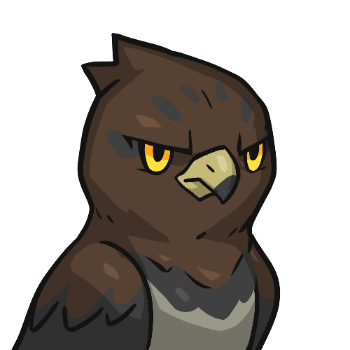  CryptoNinja Partners